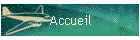 Accueil
